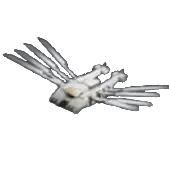All Include : [Plastanium] Carrier Ornithopter Mk6