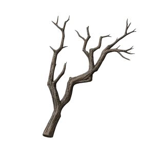 Corrupted Roots