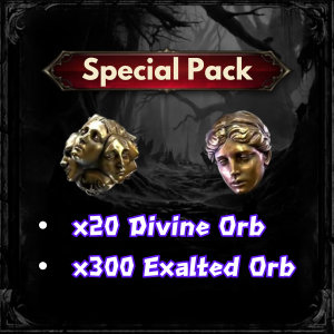 Special Pack : x20 Divine Orb + x300 Exalted Orb / Fast Delivery