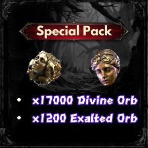 Special Pack : x17000 Divine Orb + x1200 Exalted Orb / Fast Delivery