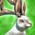 Mini Jack-a-lop