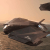 Nomad - Standalone Ship